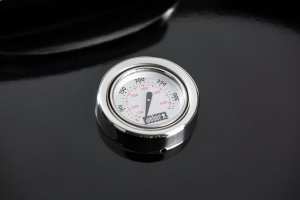 Weber-MASTER-TOUCH-GBS-E-5750-2 (1).jpg