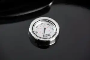 Weber-MASTER-TOUCH-GBS-E-5750-2 (1).jpg